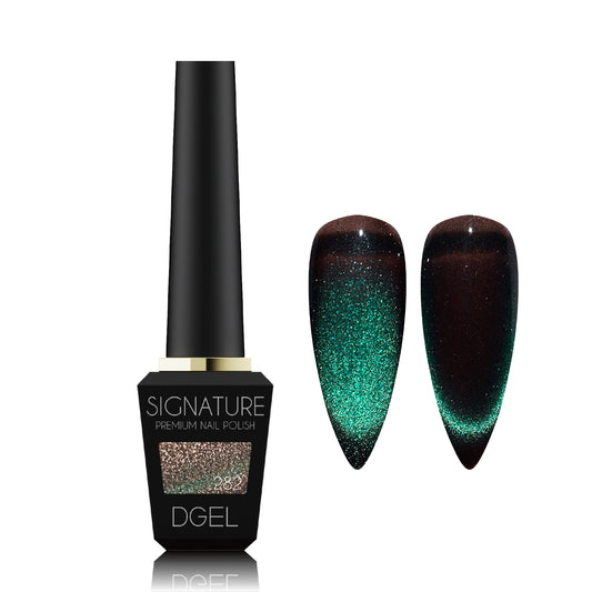 DGEL DS282 Midnight 12 ml bottle and magnetic swatches
