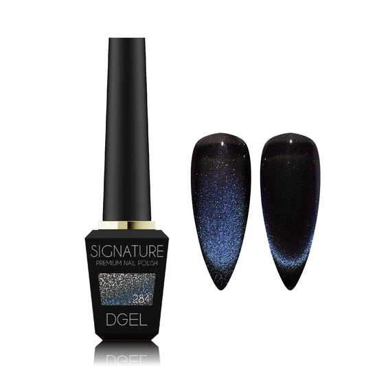DGEL DS284 Midnight 12 ml bottle and magnetic swatches