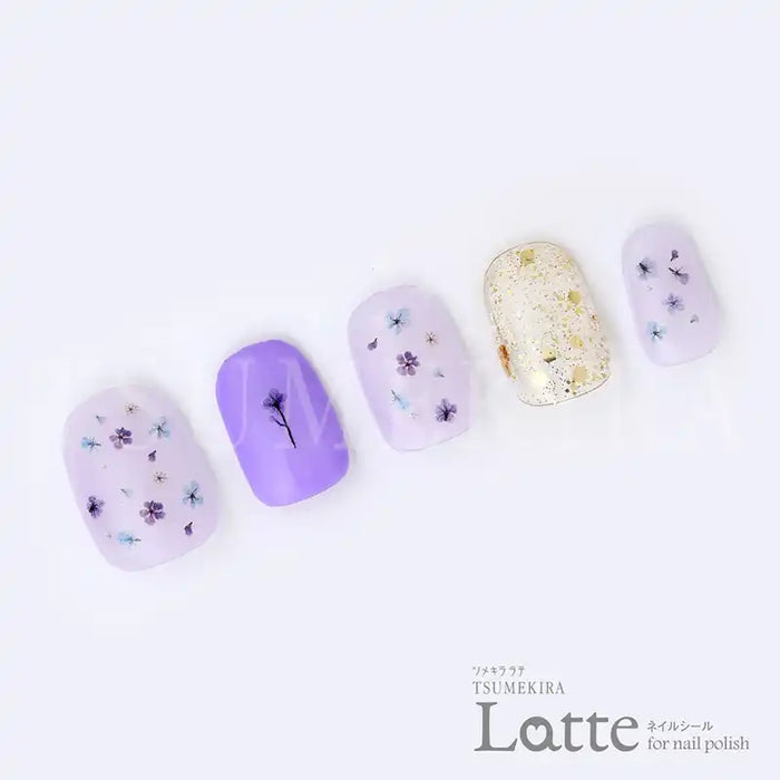 Delicate dried flower nail art kit with intricate sakura designs, enabling easy application of airbrushed patterns on nails without masking tape or an airbrush. Tsumekira Latte for nail polish, a premium Shopify product offering innovative nail art solutions for a polished, elegant look.