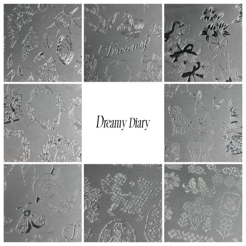 FIOTE Dreamy Diary stamping plate: close-up of the engraved designs. Official FIOTE product image.