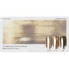 FIOTE High-Glossy Mirror Powder HI10 - Nail Art